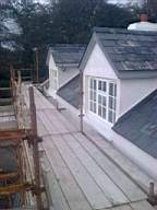 wierhouse 3650.jpg